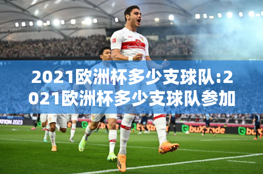 2021欧洲杯多少支球队:2021欧洲杯多少支球队参加