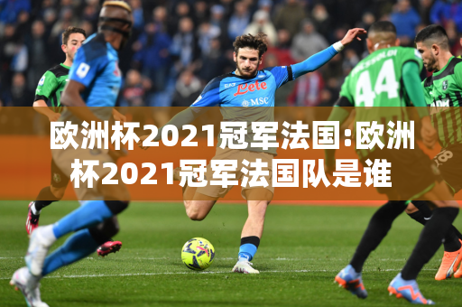 欧洲杯2021冠军法国:欧洲杯2021冠军法国队是谁