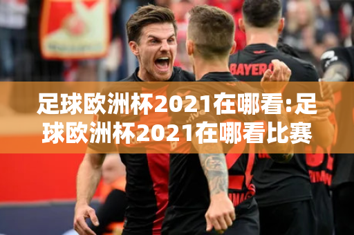 足球欧洲杯2021在哪看:足球欧洲杯2021在哪看比赛