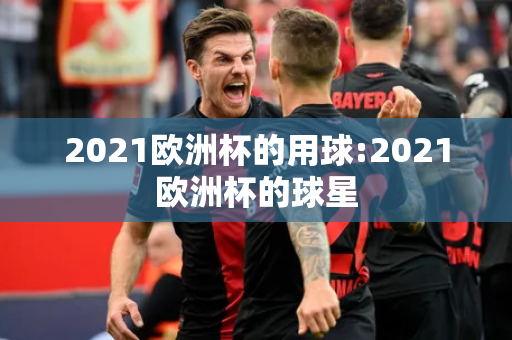 2021欧洲杯的用球:2021欧洲杯的球星