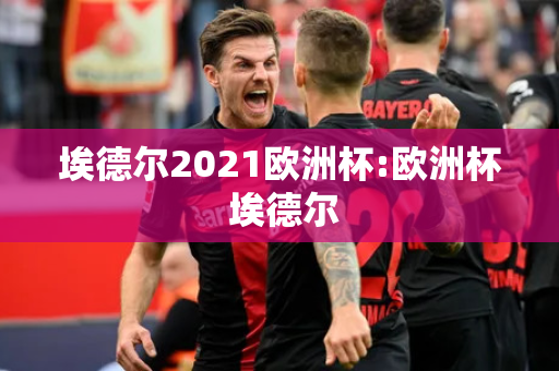 埃德尔2021欧洲杯:欧洲杯 埃德尔