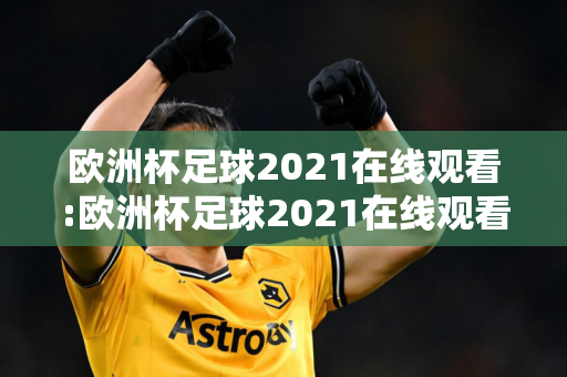 欧洲杯足球2021在线观看:欧洲杯足球2021在线观看视频