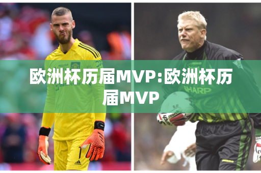 欧洲杯历届MVP:欧洲杯历届MVP