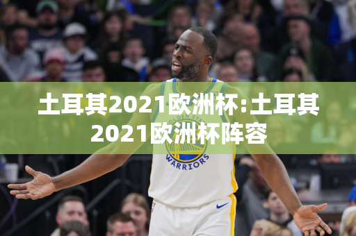 土耳其2021欧洲杯:土耳其2021欧洲杯阵容