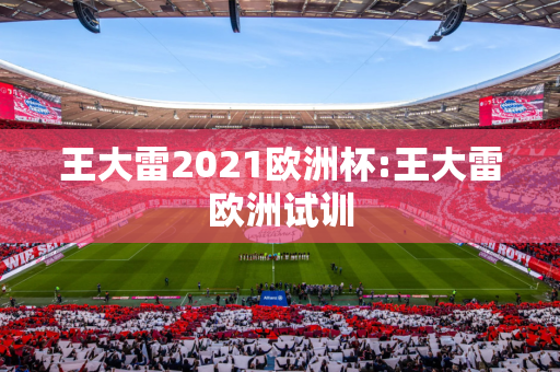 王大雷2021欧洲杯:王大雷欧洲试训