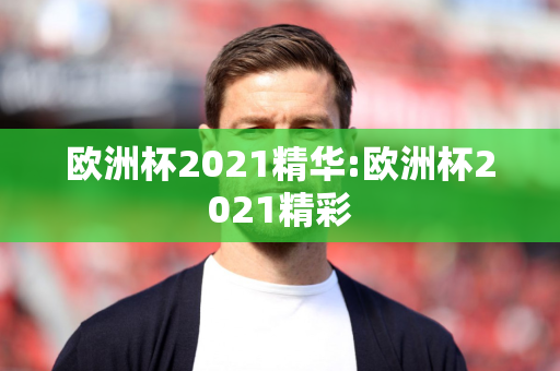 欧洲杯2021精华:欧洲杯2021精彩