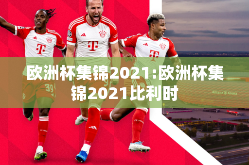 欧洲杯集锦2021:欧洲杯集锦2021比利时