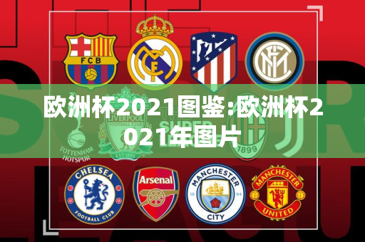 欧洲杯2021图鉴:欧洲杯2021年图片