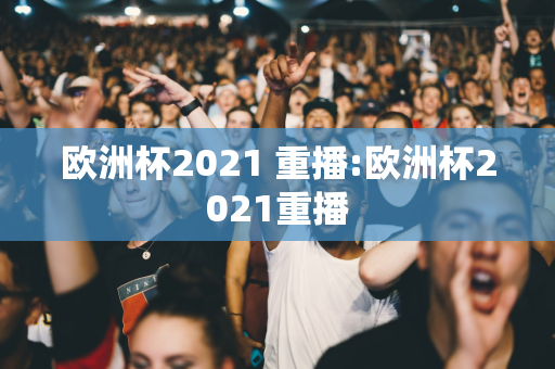 欧洲杯2021 重播:欧洲杯2021重播