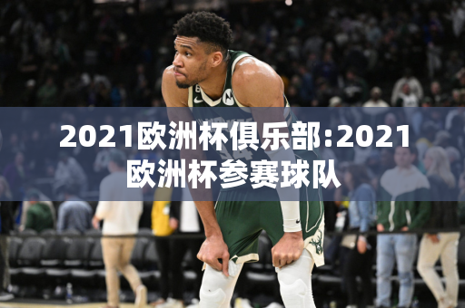 2021欧洲杯俱乐部:2021欧洲杯参赛球队