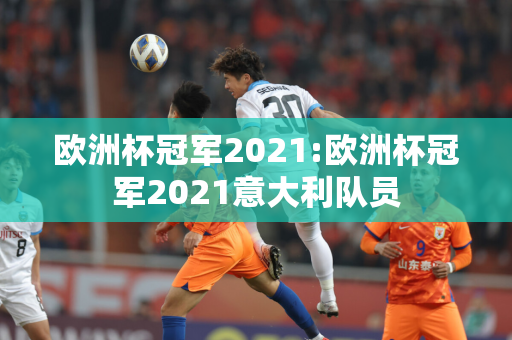 欧洲杯冠军2021:欧洲杯冠军2021意大利队员