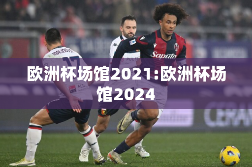 欧洲杯场馆2021:欧洲杯场馆2024