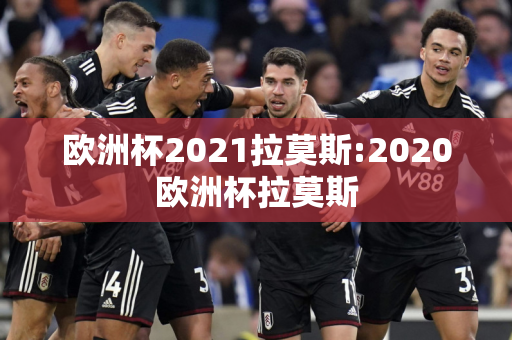 欧洲杯2021拉莫斯:2020欧洲杯拉莫斯