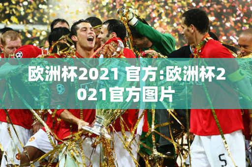 欧洲杯2021 官方:欧洲杯2021官方图片