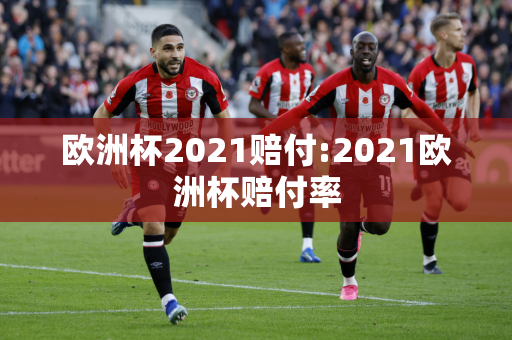 欧洲杯2021赔付:2021欧洲杯赔付率