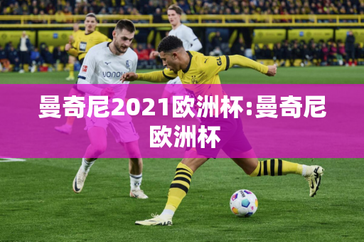 曼奇尼2021欧洲杯:曼奇尼 欧洲杯