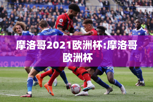 摩洛哥2021欧洲杯:摩洛哥 欧洲杯