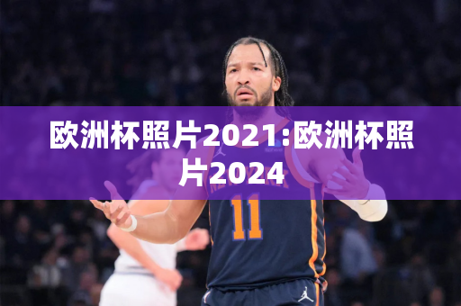 欧洲杯照片2021:欧洲杯照片2024