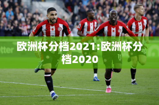 欧洲杯分档2021:欧洲杯分档2020