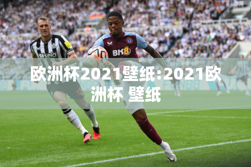 欧洲杯2021壁纸:2021欧洲杯 壁纸