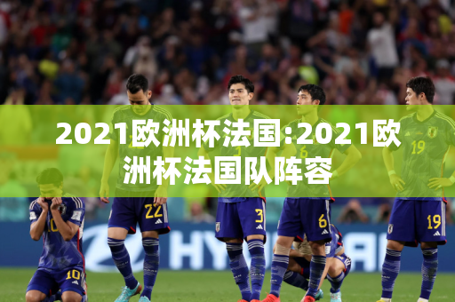 2021欧洲杯法国:2021欧洲杯法国队阵容