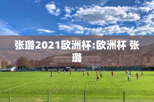 张璐2021欧洲杯:欧洲杯 张璐