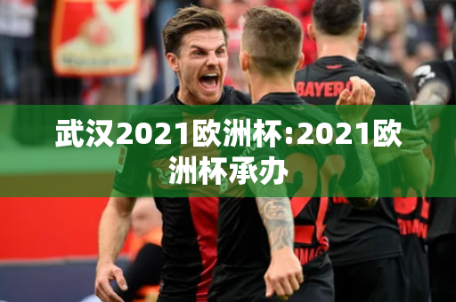 武汉2021欧洲杯:2021欧洲杯承办