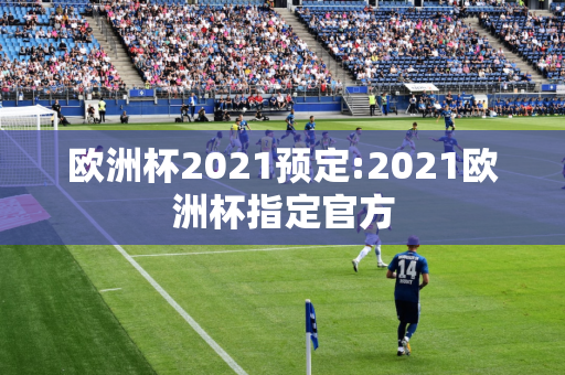 欧洲杯2021预定:2021欧洲杯指定官方