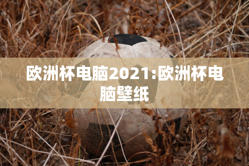 欧洲杯电脑2021:欧洲杯电脑壁纸